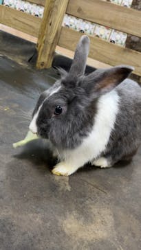 美らヤシパークオキナワ・東南植物楽園に投稿された画像（2023/3/18）