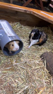 美らヤシパークオキナワ・東南植物楽園に投稿された画像（2023/3/18）