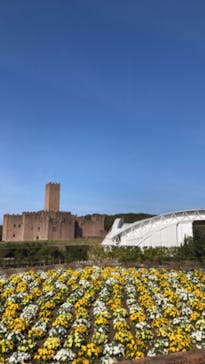 志摩スペイン村パルケエスパーニャに投稿された画像（2023/3/18）