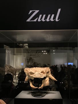 特別展「恐竜博2023」に投稿された画像（2023/3/18）