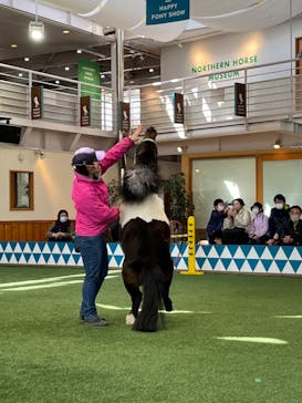 ノーザンホースパークに投稿された画像（2023/3/18）
