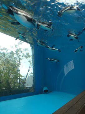 サンシャイン水族館に投稿された画像（2023/3/18）