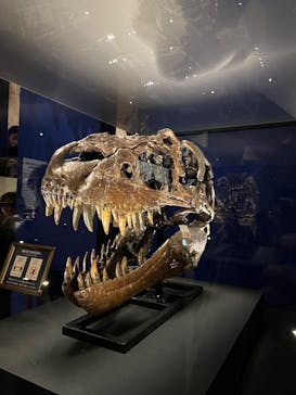 特別展「恐竜博2023」に投稿された画像（2023/3/18）