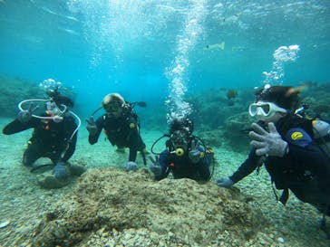 沖縄マリンサービス碧に投稿された画像（2023/3/18）