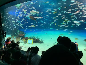 サンシャイン水族館に投稿された画像（2023/3/18）
