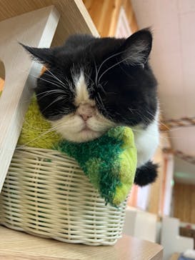 那須どうぶつ王国に投稿された画像（2023/3/18）