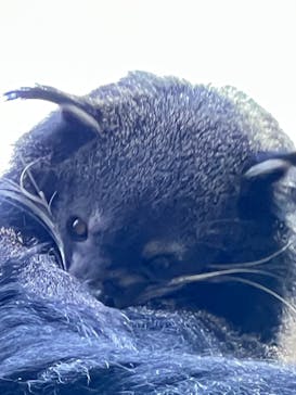 那須どうぶつ王国に投稿された画像（2023/3/18）