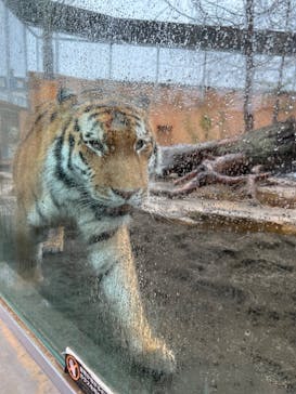 那須どうぶつ王国に投稿された画像（2023/3/18）