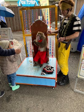 おさるランド＆アニタウン　日光さる軍団劇場に投稿された画像（2023/3/18）