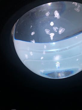 サンシャイン水族館に投稿された画像（2023/3/18）