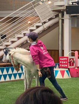 ノーザンホースパークに投稿された画像（2023/3/18）