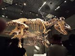 特別展「恐竜博2023」に投稿された画像（2023/3/18）