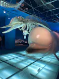 名古屋港水族館に投稿された画像（2023/3/18）