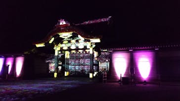 『NAKED FLOWERS 2023 桜 世界遺産・二条城』に投稿された画像（2023/3/18）