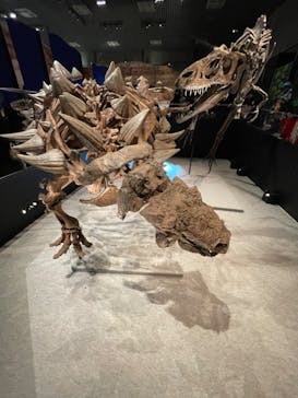 特別展「恐竜博2023」に投稿された画像（2023/3/18）