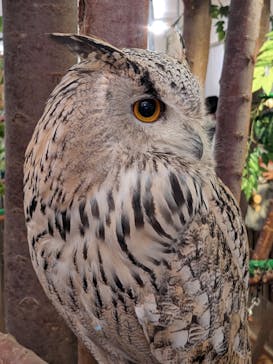 Moff animal cafe イオンモール幕張新都心店に投稿された画像（2023/3/18）