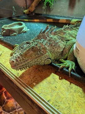 Moff animal cafe イオンモール幕張新都心店に投稿された画像（2023/3/18）