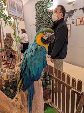Moff animal cafe イオンモール幕張新都心店に投稿された画像（2023/3/18）