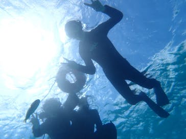 ブルーラグーン石垣島に投稿された画像（2023/3/18）