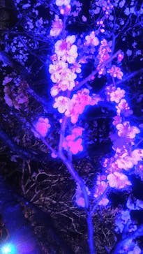 せんだい農業園芸センター　みどりの杜に投稿された画像（2023/3/18）