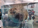 京都水族館に投稿された画像（2023/3/18）