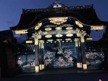 『NAKED FLOWERS 2023 桜 世界遺産・二条城』に投稿された画像（2023/3/18）