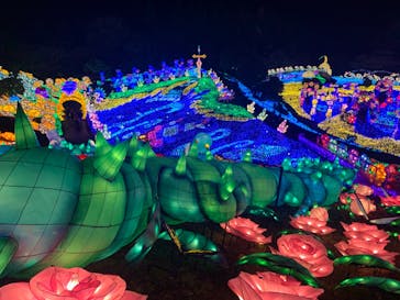 伊豆ぐらんぱる公園に投稿された画像（2023/3/18）