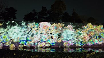 『NAKED FLOWERS 2023 桜 世界遺産・二条城』に投稿された画像（2023/3/18）