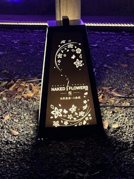 『NAKED FLOWERS 2023 桜 世界遺産・二条城』に投稿された画像（2023/3/18）
