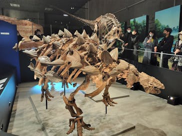 特別展「恐竜博2023」に投稿された画像（2023/3/18）