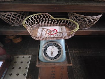 江戸東京たてもの園に投稿された画像（2023/3/18）