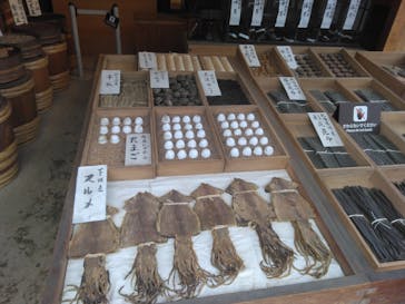 江戸東京たてもの園に投稿された画像（2023/3/18）