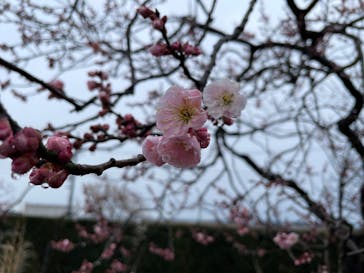 せんだい農業園芸センター　みどりの杜に投稿された画像（2023/3/18）