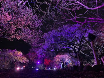 せんだい農業園芸センター　みどりの杜に投稿された画像（2023/3/18）