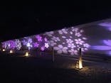 『NAKED FLOWERS 2023 桜 世界遺産・二条城』に投稿された画像（2023/3/18）