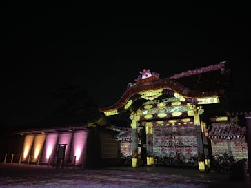 『NAKED FLOWERS 2023 桜 世界遺産・二条城』に投稿された画像（2023/3/18）