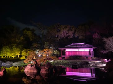 『NAKED FLOWERS 2023 桜 世界遺産・二条城』に投稿された画像（2023/3/18）