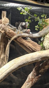 カワスイ 川崎⽔族館に投稿された画像（2023/3/18）