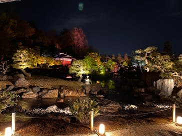 『NAKED FLOWERS 2023 桜 世界遺産・二条城』に投稿された画像（2023/3/18）