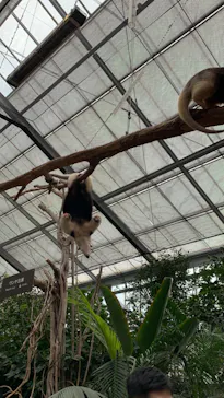 神戸どうぶつ王国に投稿された画像（2023/3/18）