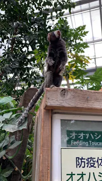 神戸どうぶつ王国に投稿された画像（2023/3/18）