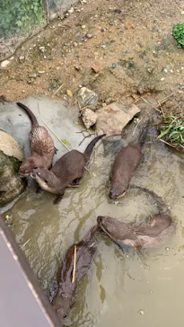 神戸どうぶつ王国に投稿された画像（2023/3/18）