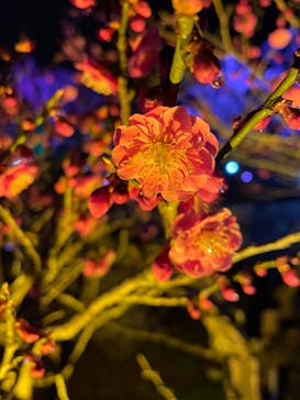 せんだい農業園芸センター　みどりの杜に投稿された画像（2023/3/18）