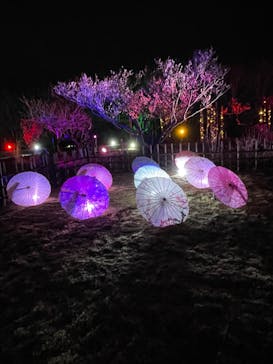 せんだい農業園芸センター　みどりの杜に投稿された画像（2023/3/18）