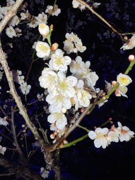 せんだい農業園芸センター　みどりの杜に投稿された画像（2023/3/18）