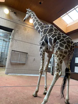 天王寺動物園に投稿された画像（2023/3/18）