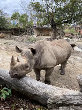 天王寺動物園に投稿された画像（2023/3/18）