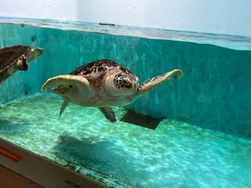 仙台うみの杜水族館に投稿された画像（2023/3/18）