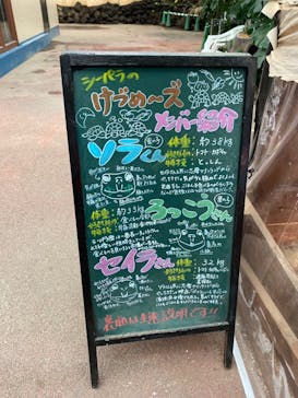 ゼロ距離水族館 伊勢シーパラダイスに投稿された画像（2023/3/18）