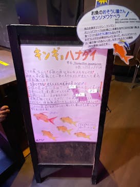 ゼロ距離水族館 伊勢シーパラダイスに投稿された画像（2023/3/18）